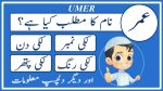 umer name meaning in urdu