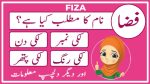 fiza name meaning in urdu