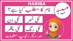 habiba name meaning in urdu