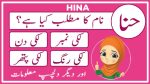 hina name meaning in urdu