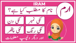 iram name meaning in urdu