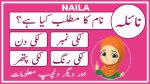 naila name meaning in urdu