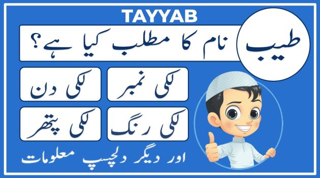 tayyab name meaning in urdu