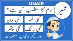 umair name meaning in urdu