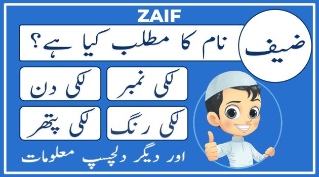 zaif name meaning in urdu