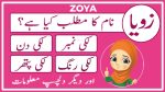 zoya name meaning in urdu